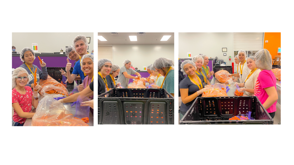 Preparing and sorting carrots.